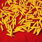 Après le vol du pie....